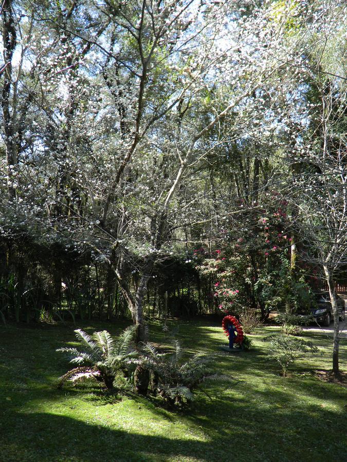 Recanto Dos Kerr Monte Verde  Exterior foto